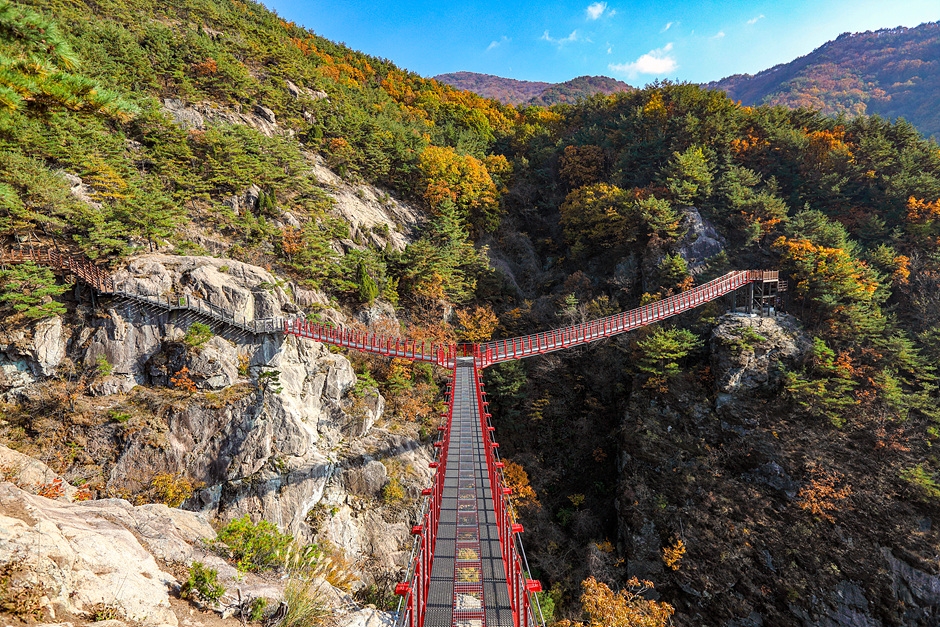 Y자형 출렁다리