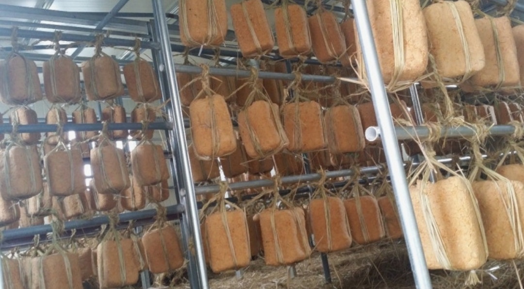 한국기행-담양-삼대밥상