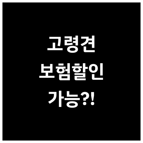 고령견 강아지 보험 다이렉트 할인 가..
