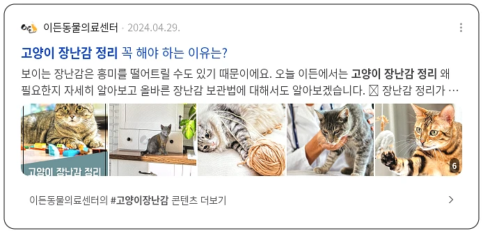 고양이 장난감 정리_3_subsection