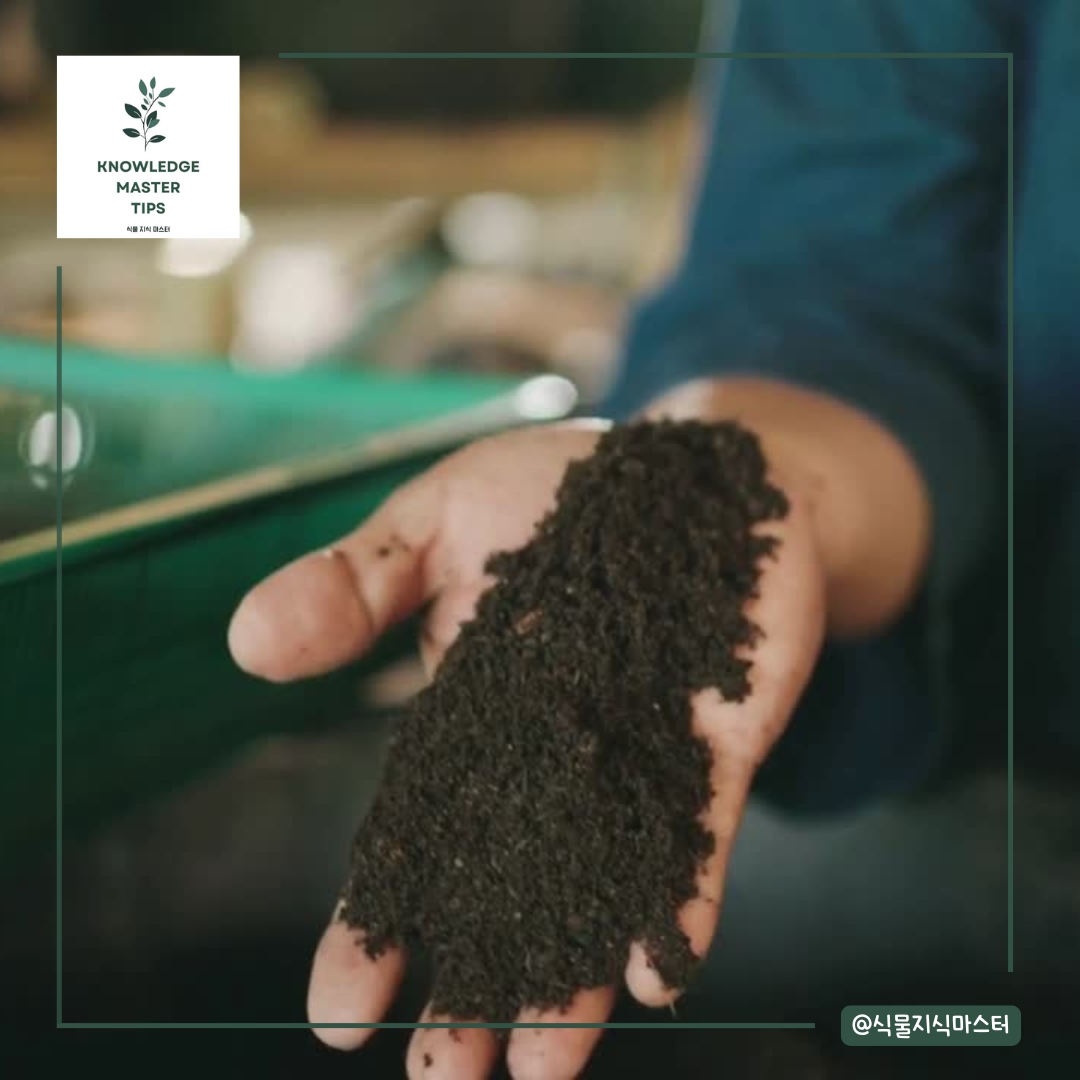 소독 후 미생물 보충의 필요성