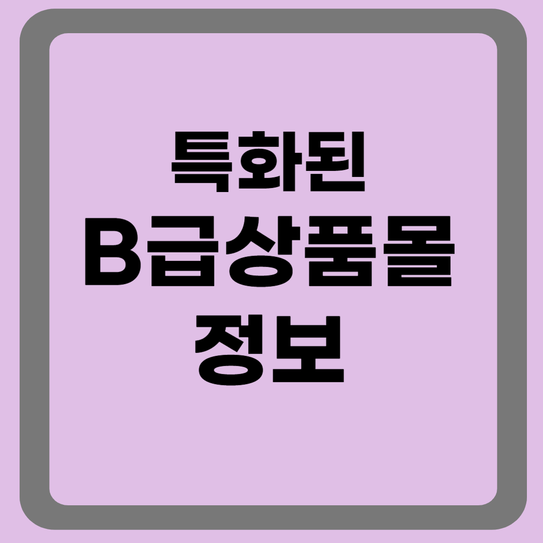특화된 B급상품몰 리스트