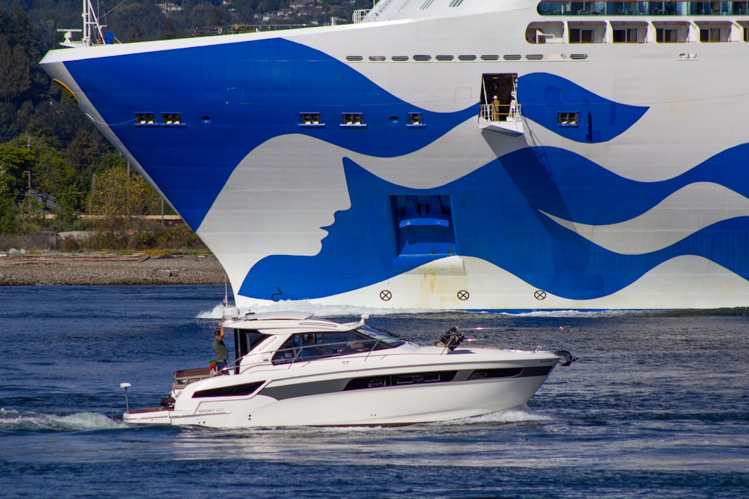 'Cruise'