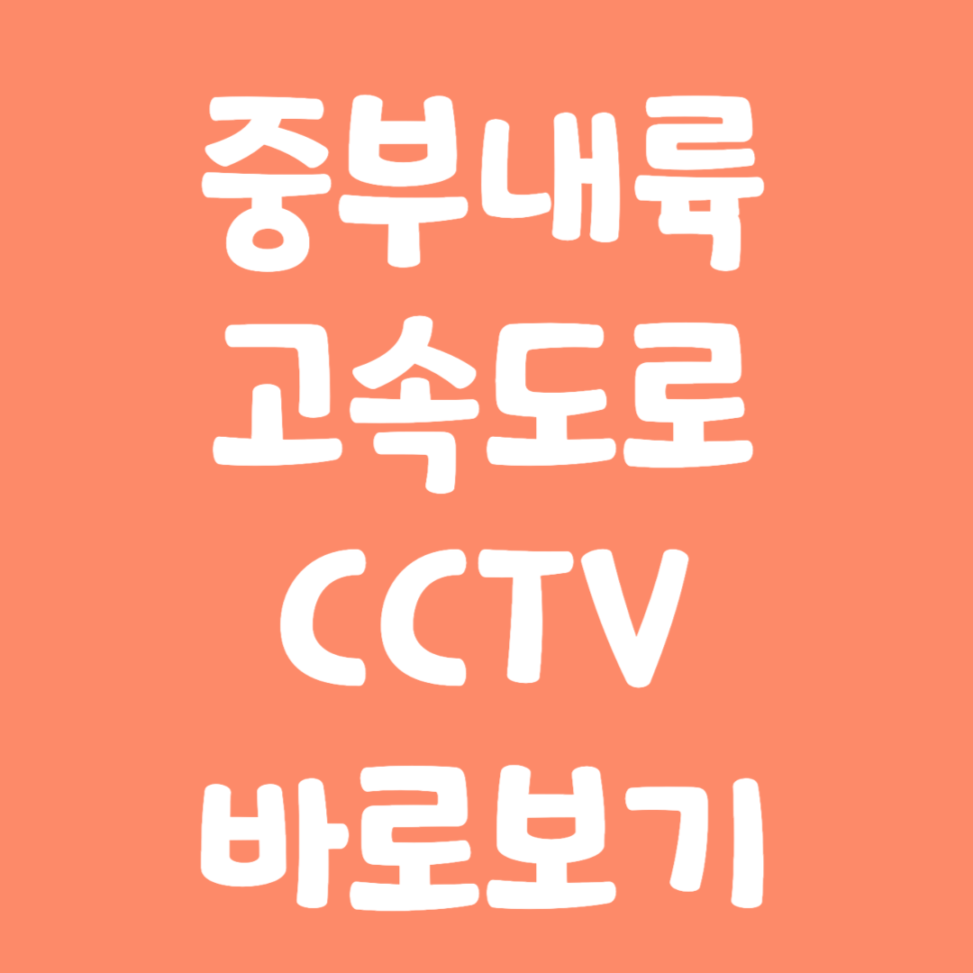 실시간 중부내륙 고속도로 CCTV 바로보기
