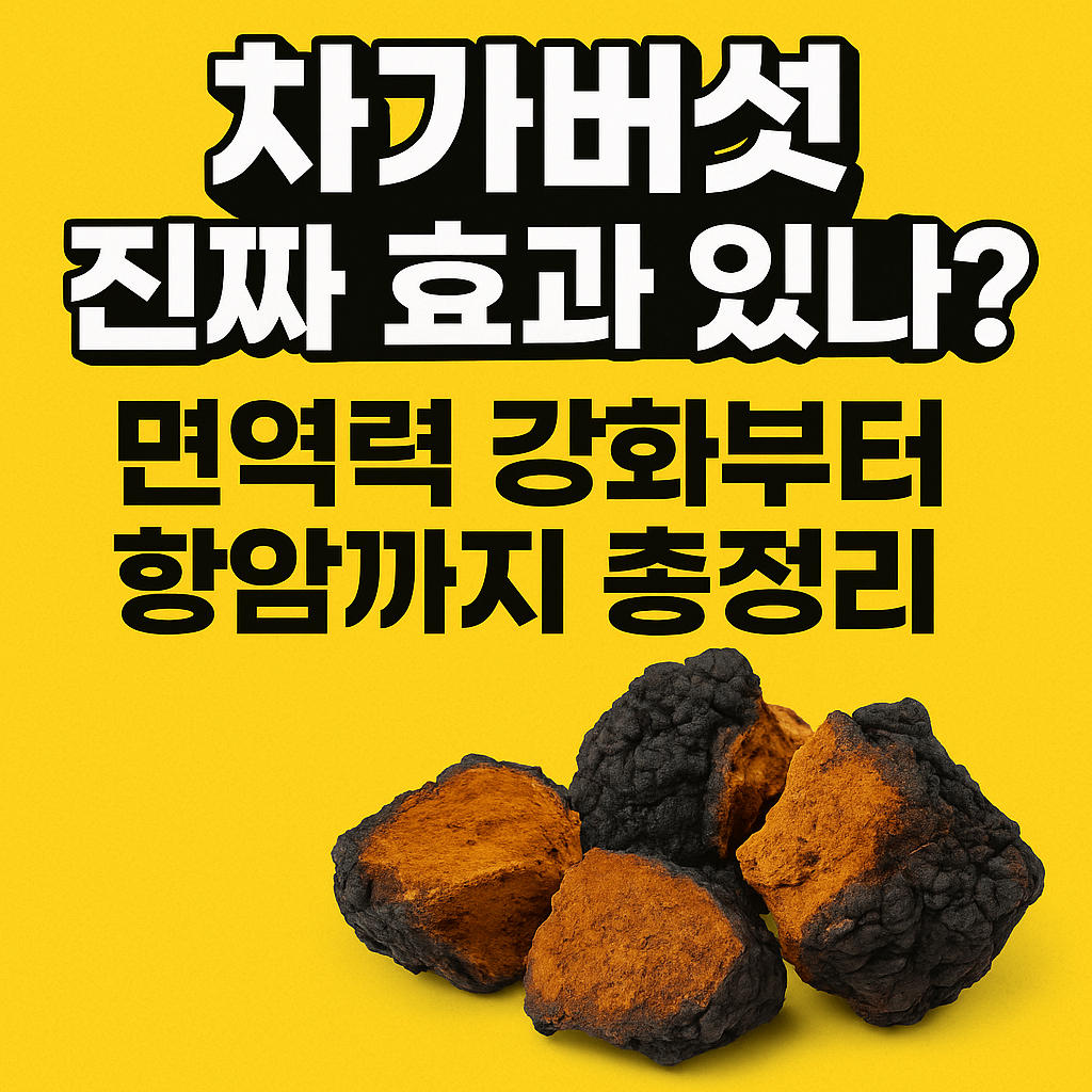 차가버섯의 효능 대표 이미지