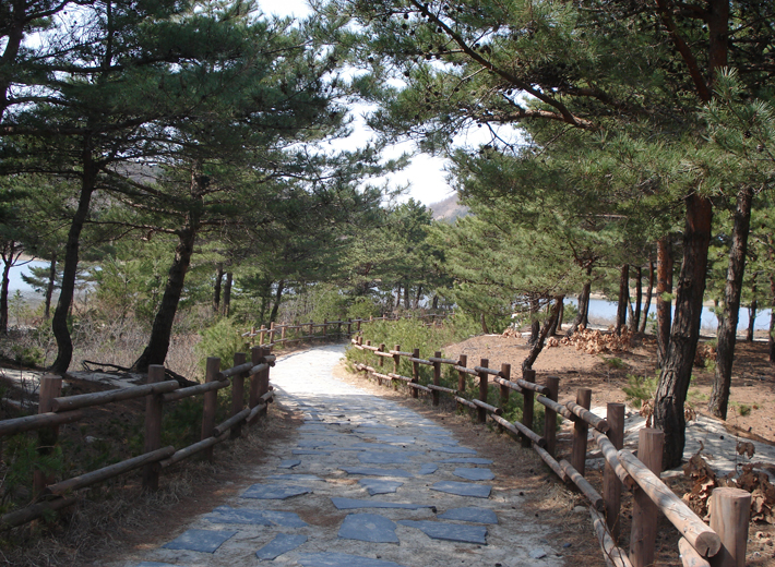 자전거코스2