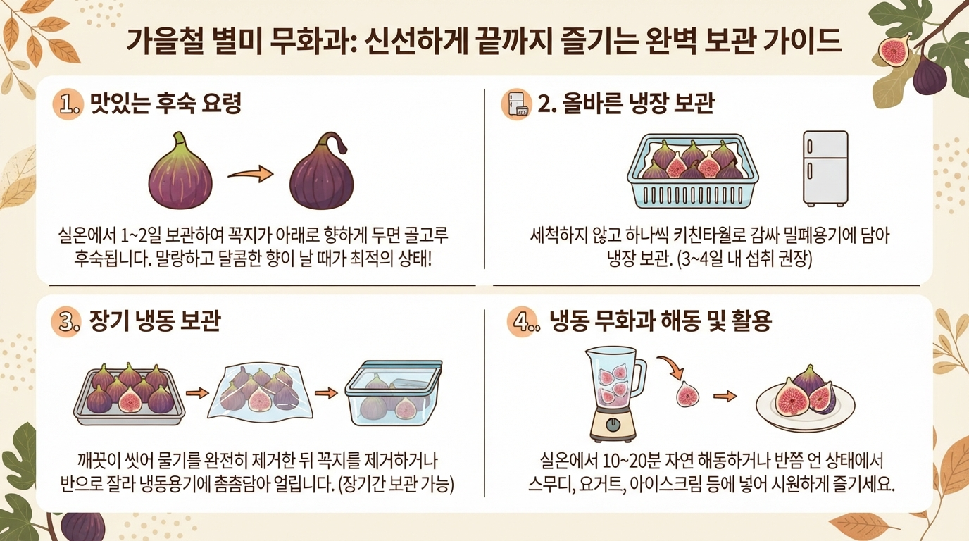 무화과 보관방법