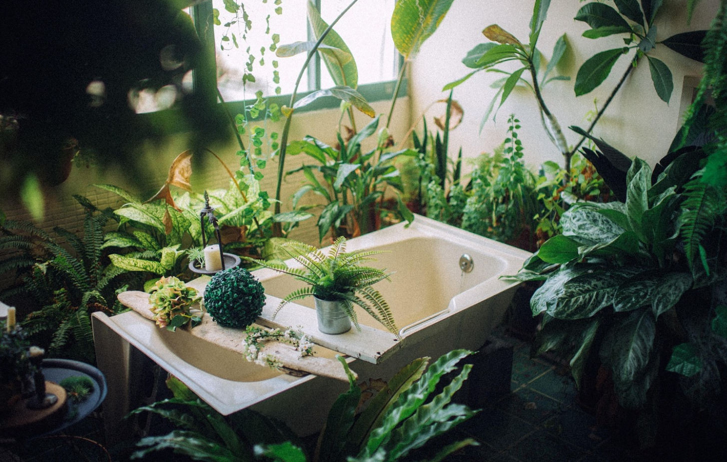 실내 음이온 농도의 일간 변화와 스트레스 호르몬 상관관계