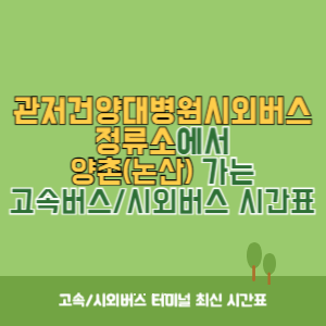 관저건양대병원시외버스정류소에서 양촌(논산) 가는 시외버스 시간표 최신정보