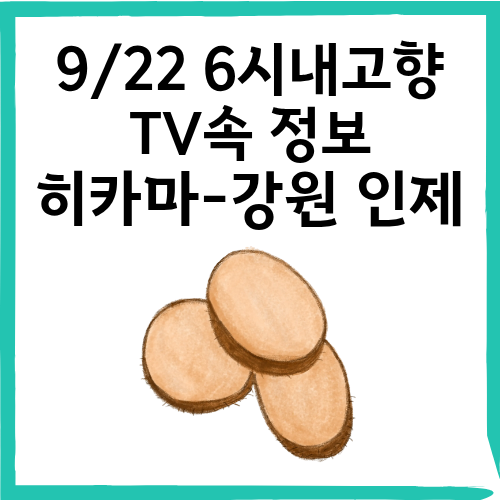 9/22 6시내고향 인제 히카마 정보 총정리 (효능 및 구입방법)