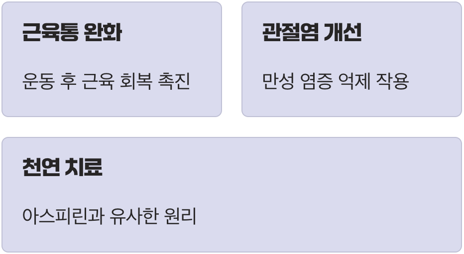 3. 우리 몸의 작은 불씨, '염증'을 끄다