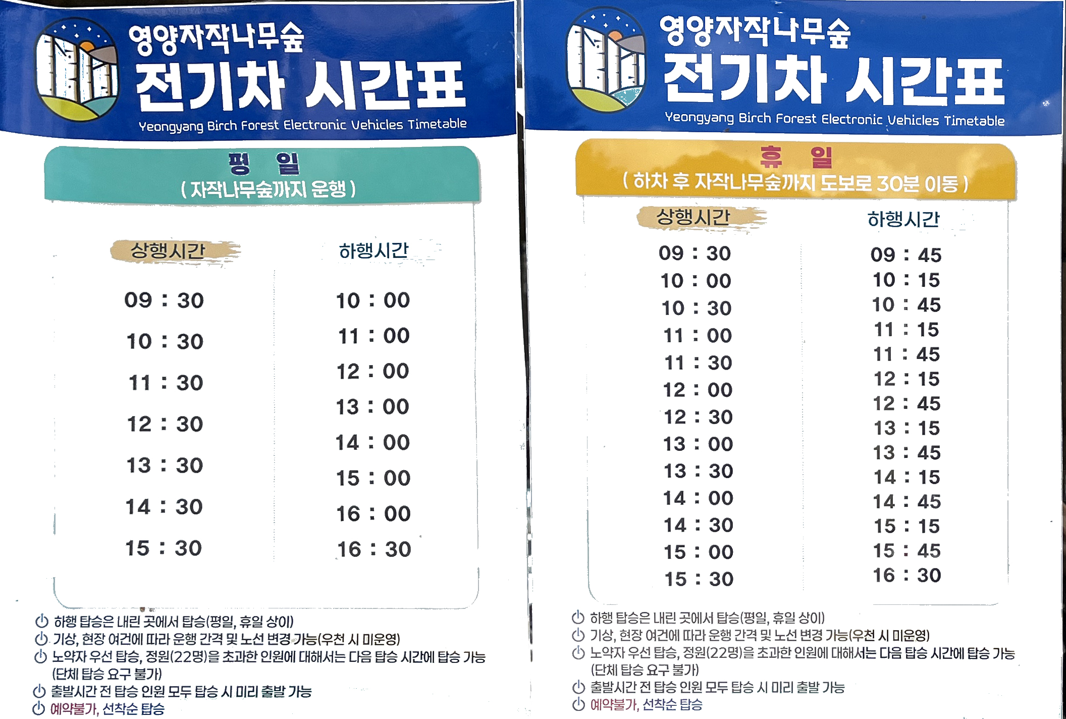 영양 자작나무숲 시간표