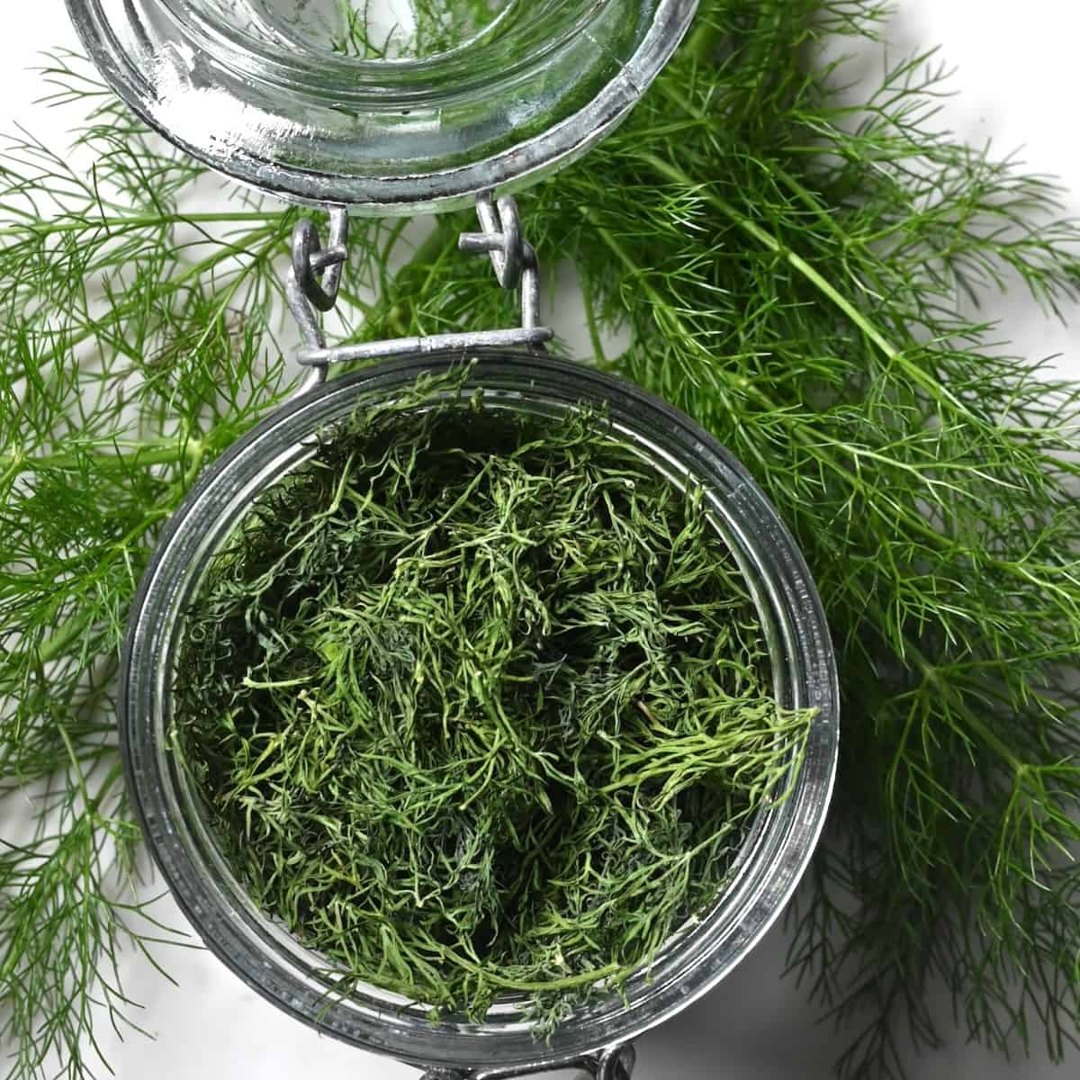 허브 '딜(Dill)'의 효능, 다른 허브와 비교, 역사와 활용법