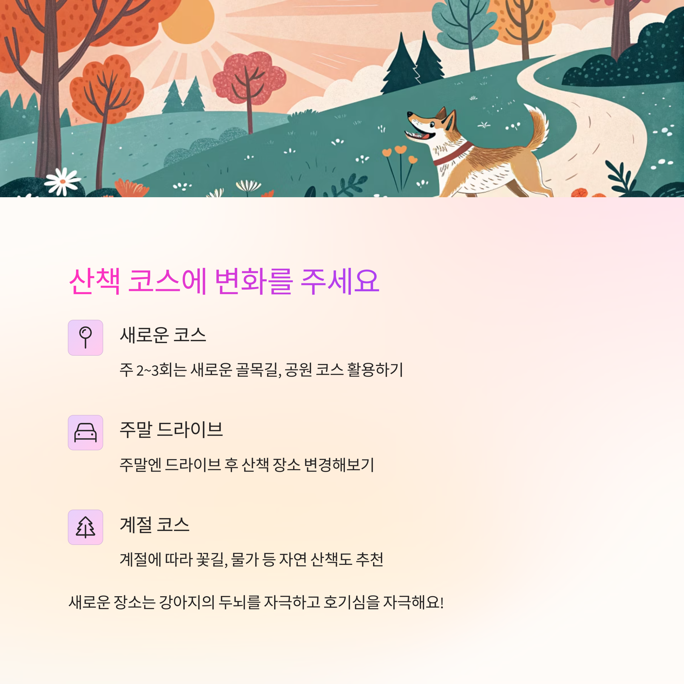 산책 코스에 변화