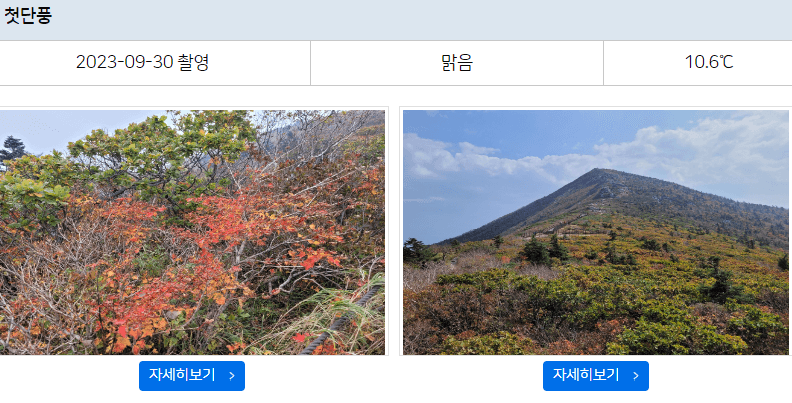 화담숲 단풍시기