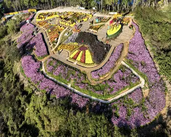 익산 천만송이 국화축제_25