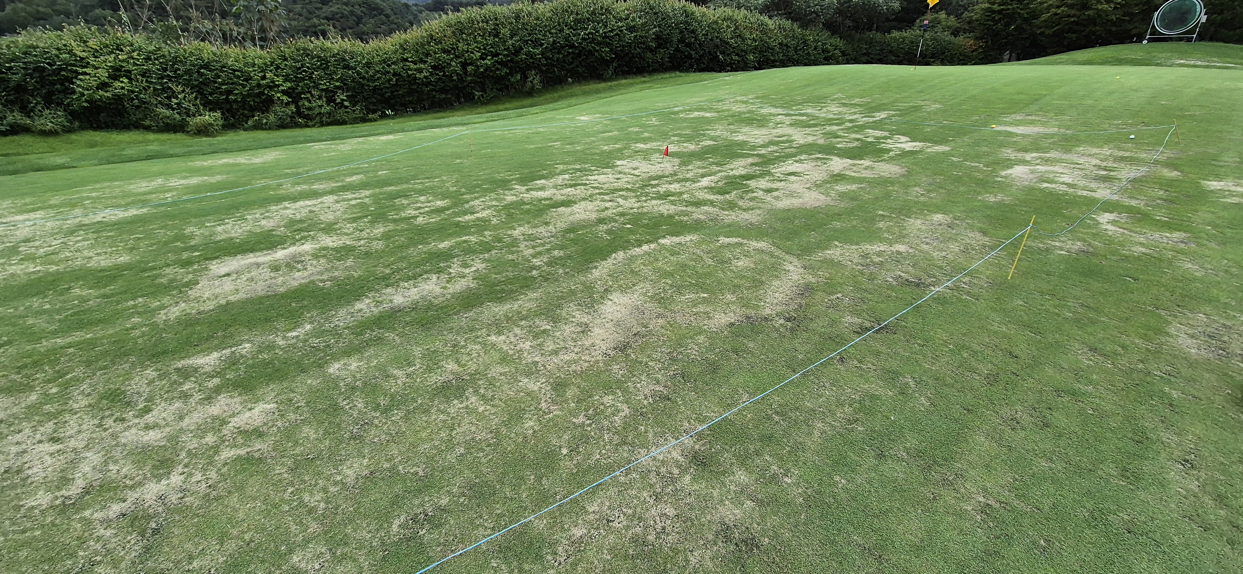 더플레이어스cc