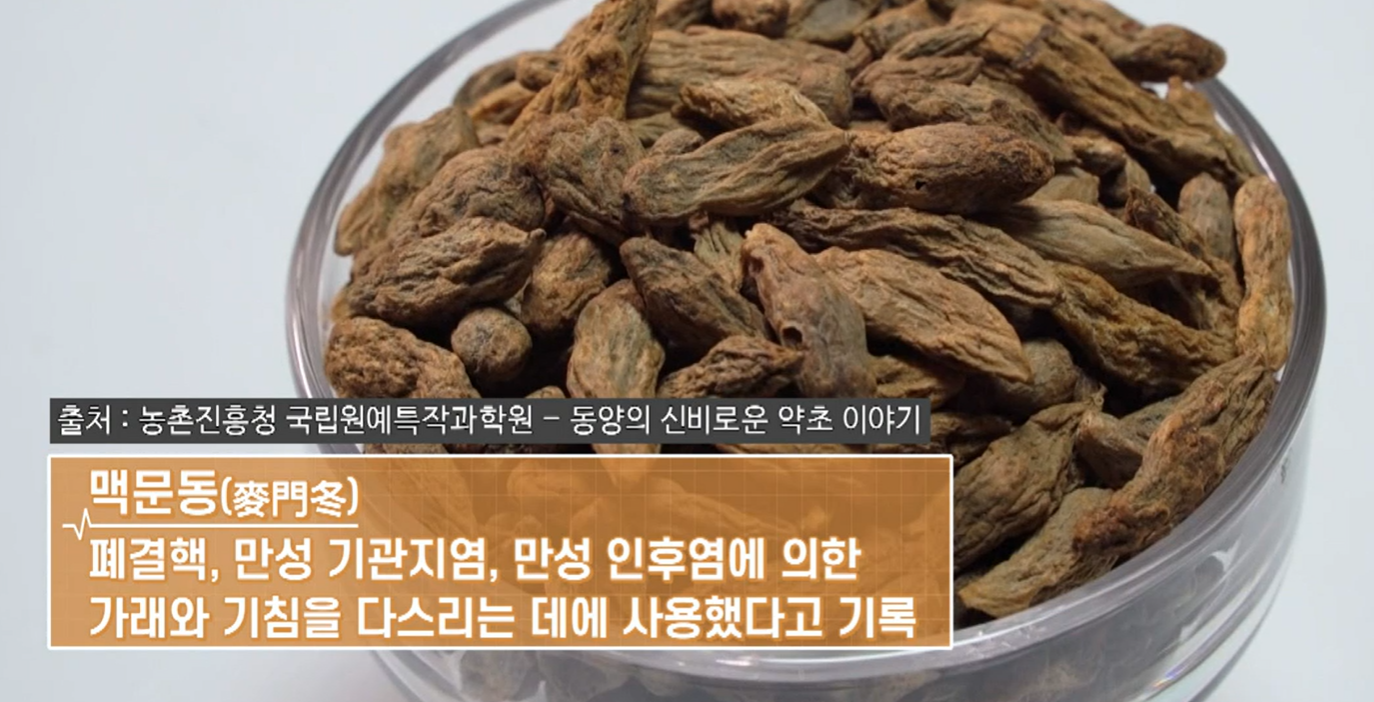 맥문동