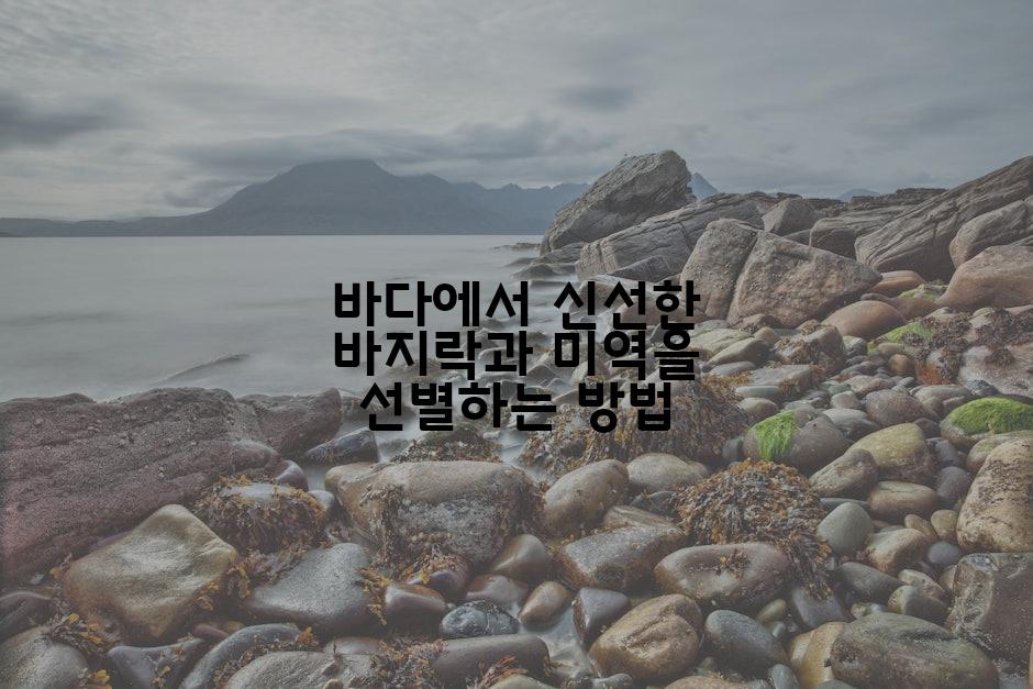 바다에서 신선한 바지락과 미역을 선별하는 방법