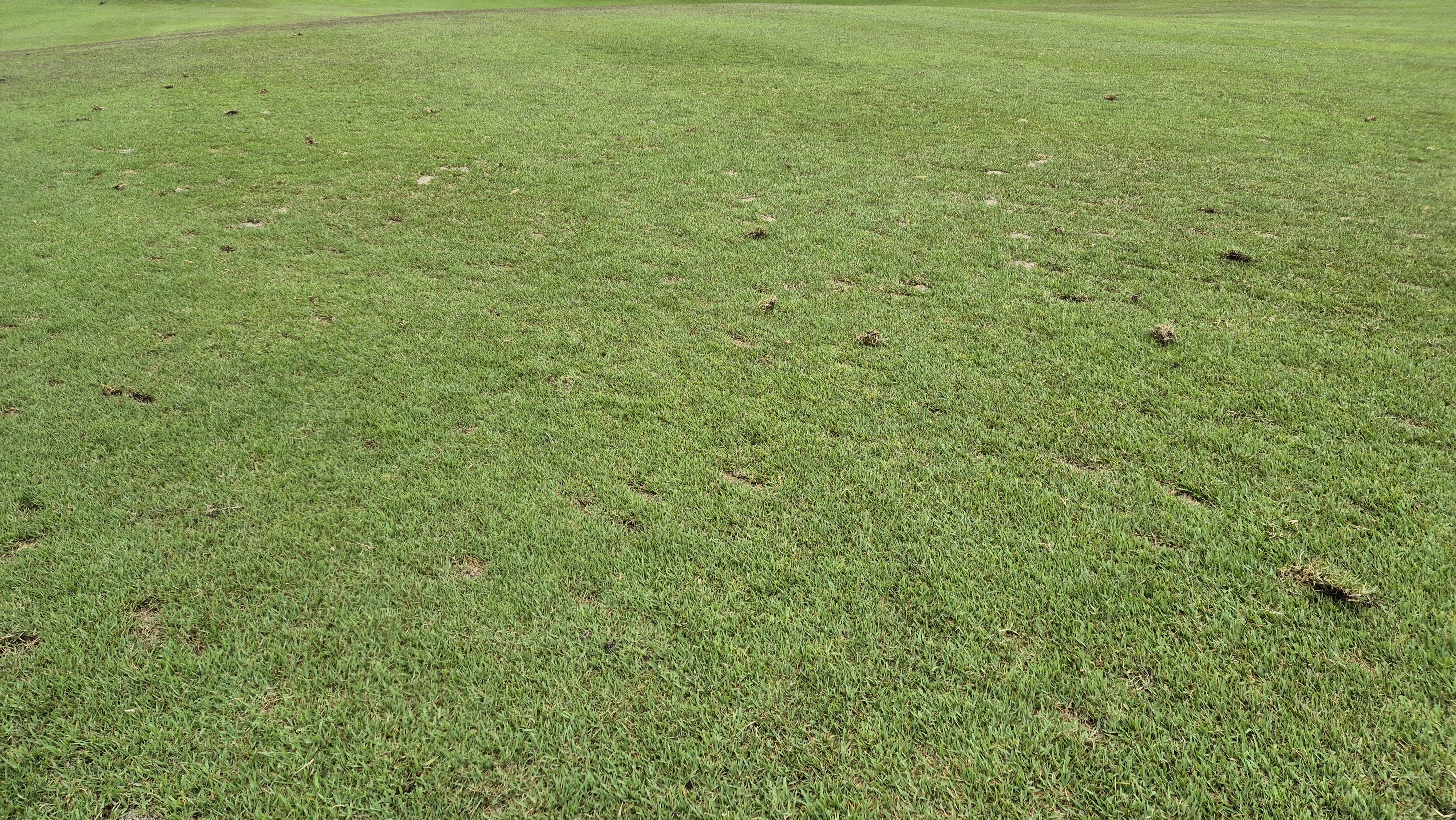 파크밸리gc 라운드 후기