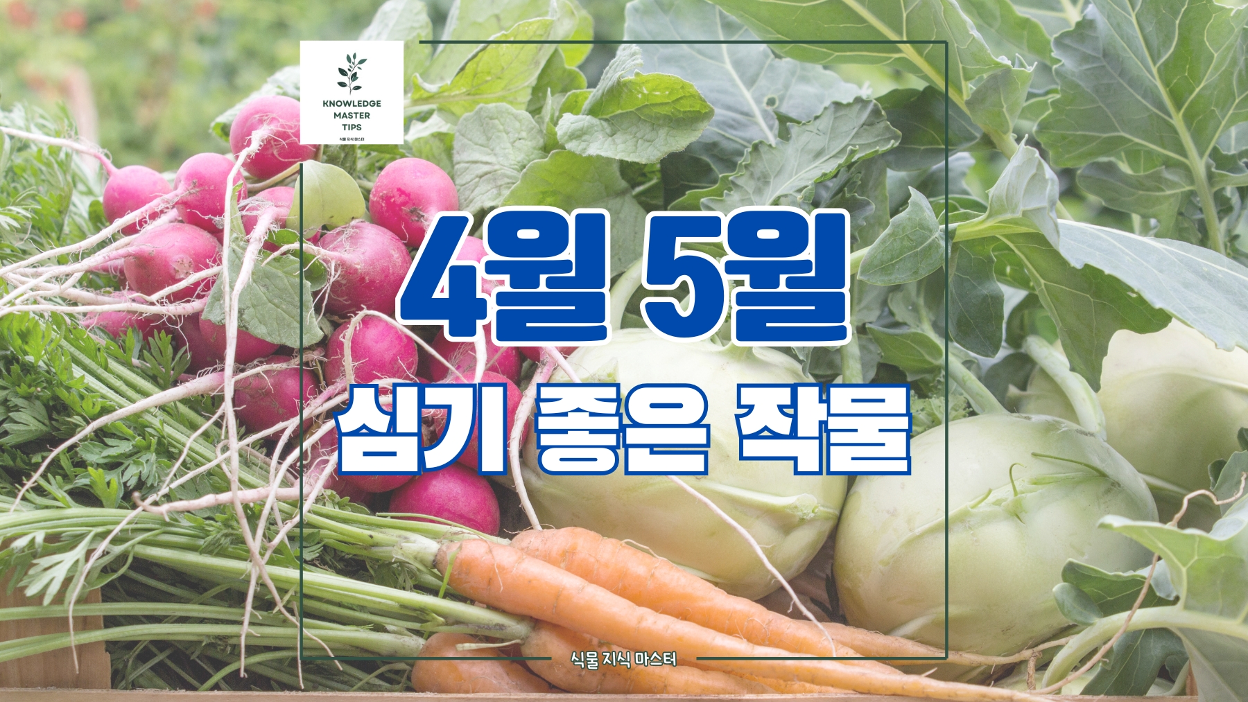4월 5월에 심기 좋은 작물 추천, 봄 농사 시작하기!