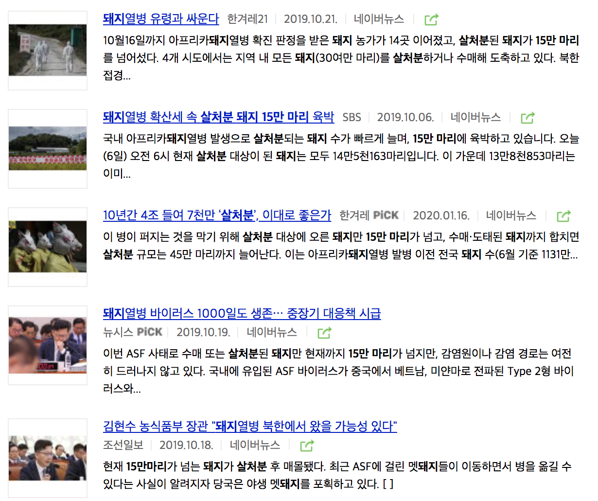 아프리카 돼지열병 돼지 살처분