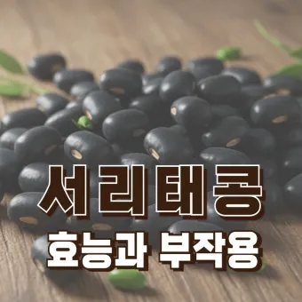 서리태 효능 콩물 만드는방법 수확시기 서리태콩 정보_5
