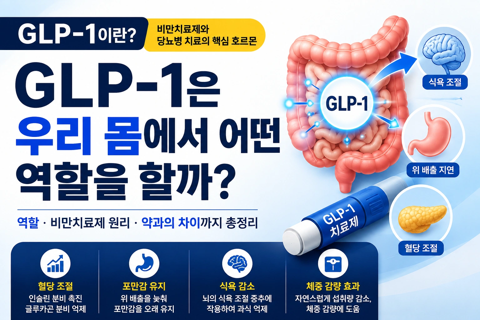 GLP-1이란? 비만치료제가 주목받는 이유를 이해하면 치료가 쉬워집니다