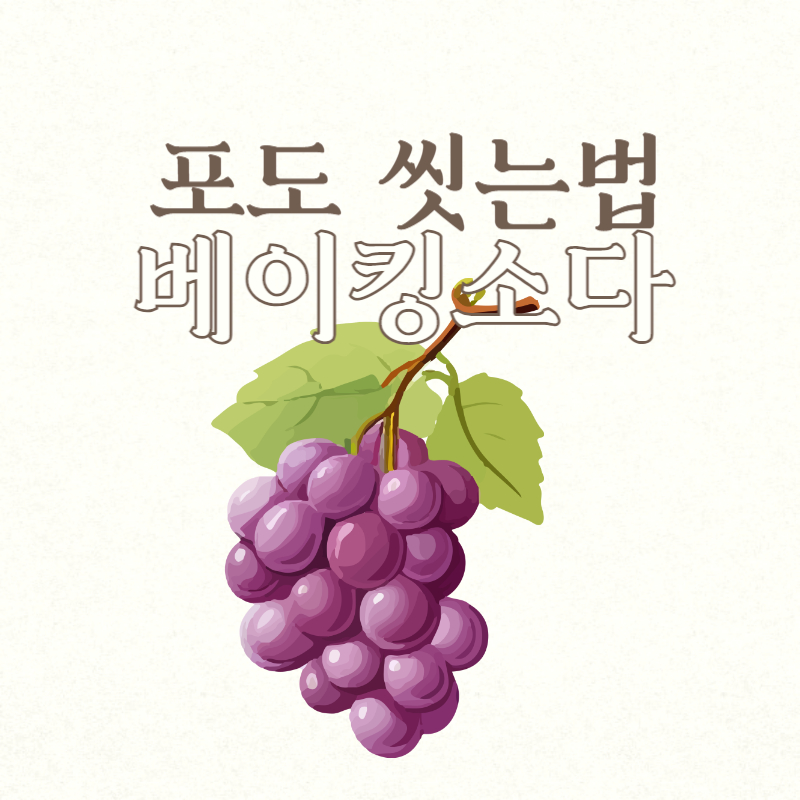 포도 씻는법 베이킹소다