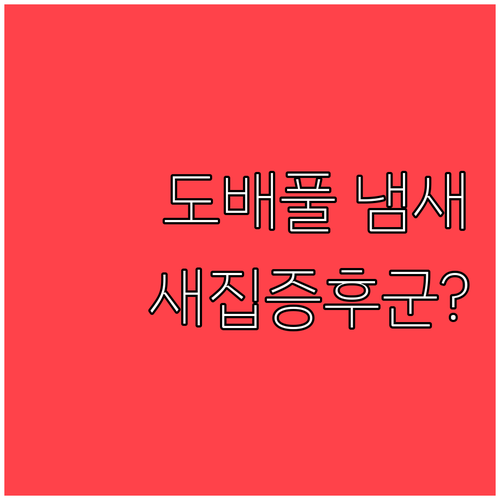 새집증후군 주범? 도배 풀 냄새의 진
