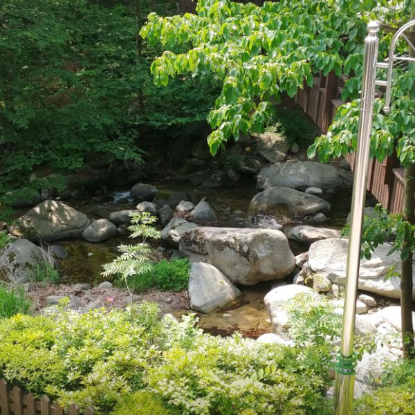 대관령자연휴양림