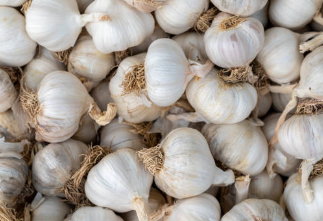마늘