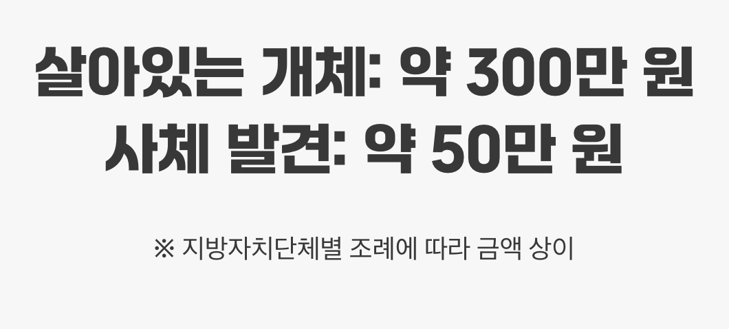 그래서 포상금은 얼마일까?