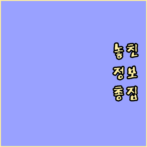 오류동 쓰레기 배출 시간 요일 음식물..