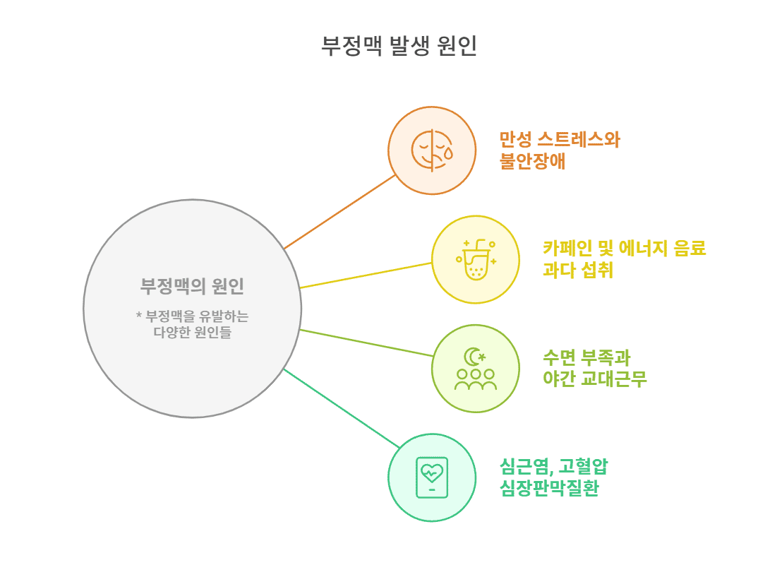 부정맥 발생 원인