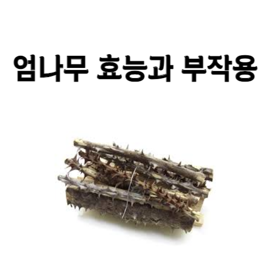 엄나무 효능과 부작용