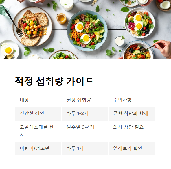 계란 섭취, 얼마나 어떻게 먹는 게 좋을까?