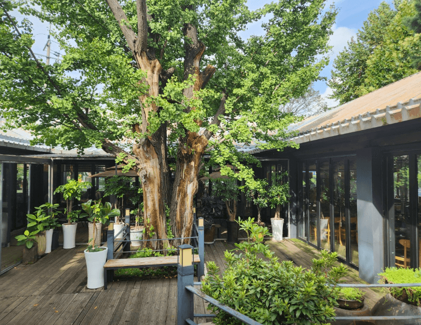 생방송오늘저녁 인천 부평 보양식 장어 맛집