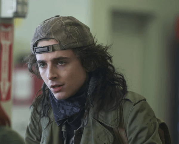 돈룩업 속 티모시 샬라메