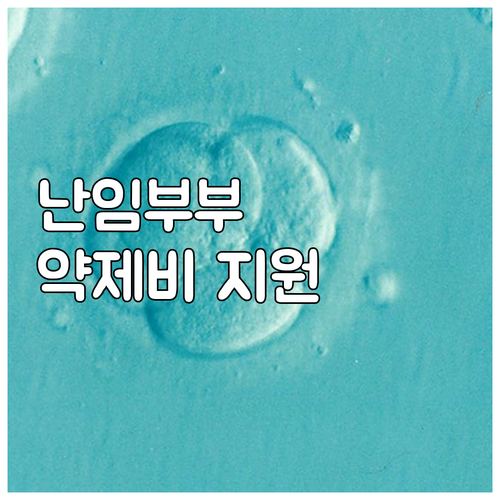 옹진군 난임 부부 희소식 2025, ..