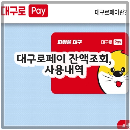 대구로페이 잔액조회, 사용내역