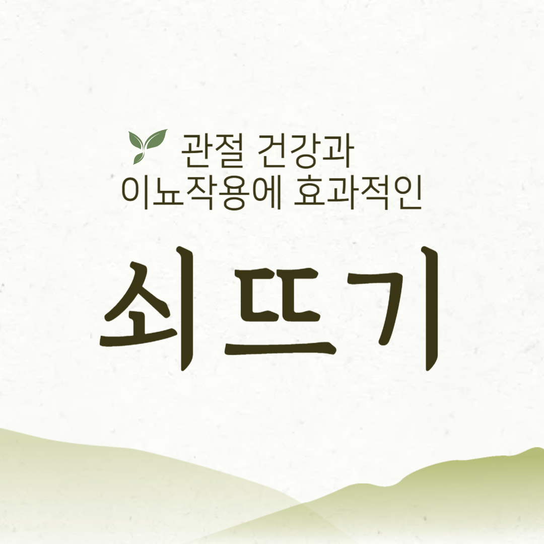 관절과 이뇨작용에 효과적인 쇠뜨기