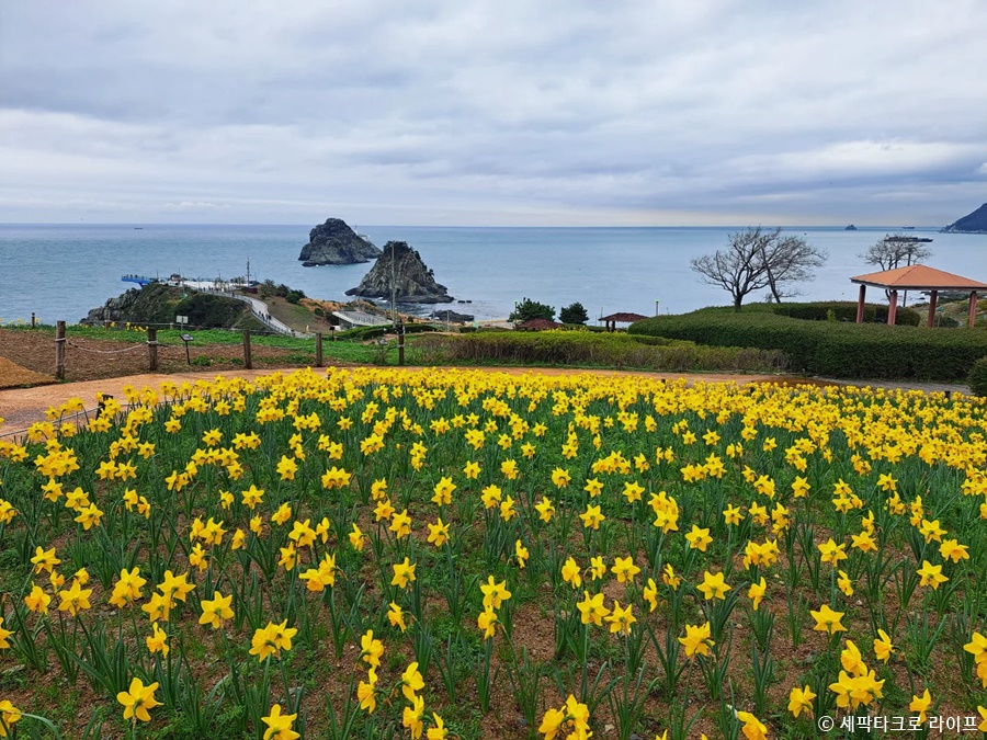 부산풍경사진이기대