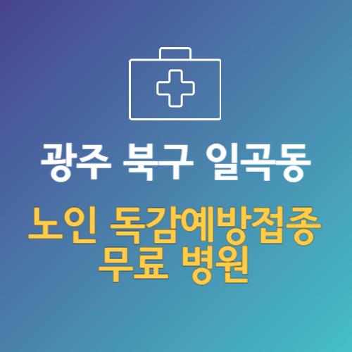 광주 북구 일곡동 노인 독감예방접종 무료 병원 (인플루엔자 무료 접종 대상 날짜)