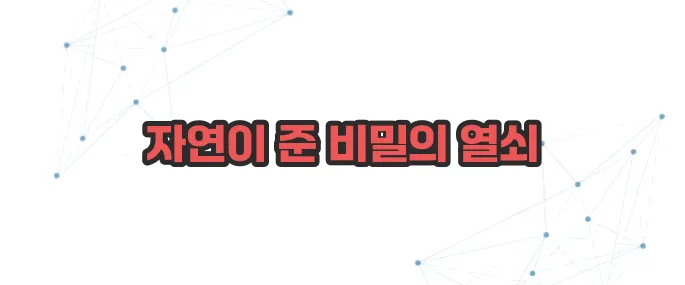 동충하초 효능 이보다 자세히 설명할순없다