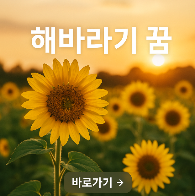 해바라기 꿈