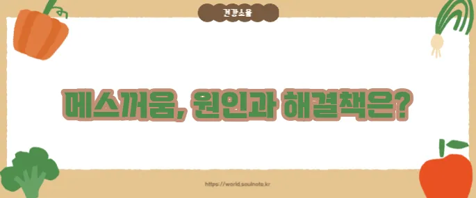 속이 메스껍고 토할 듯한 느낌 (+원인별 대처법)