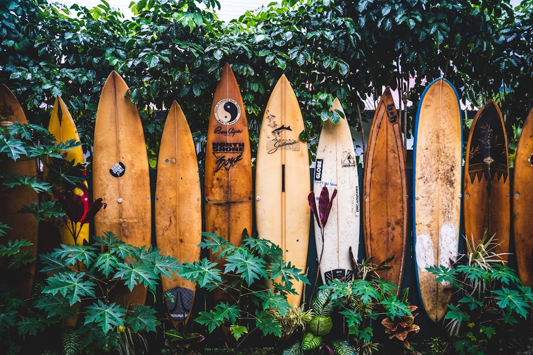 Surfer