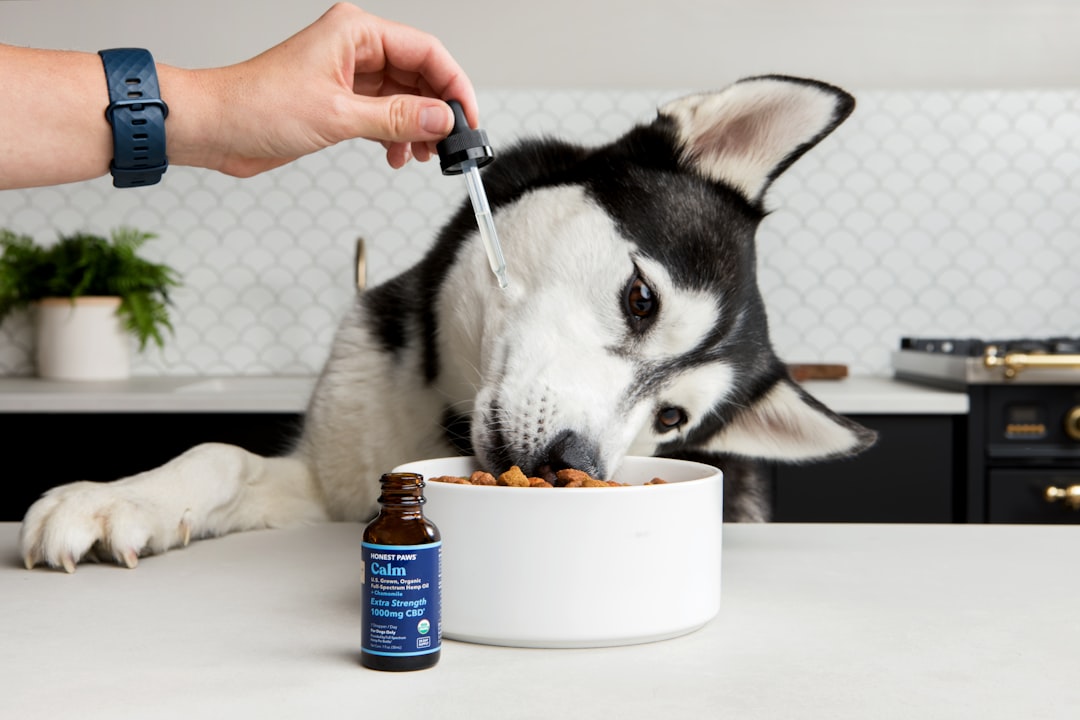 Pet Health
