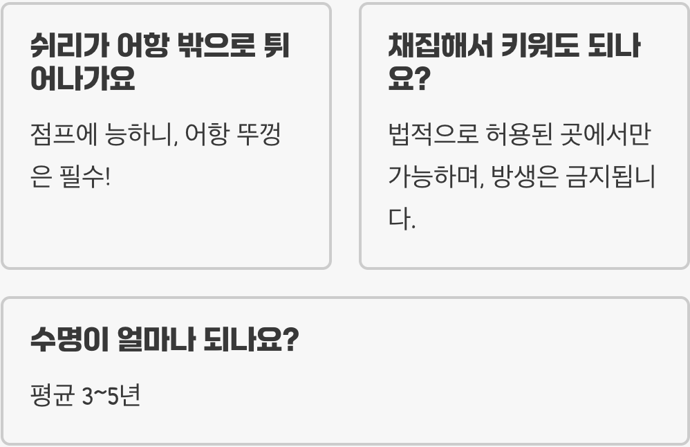 쉬리 키우기 완벽 가이드 (어항, 먹이, 수질 관리)